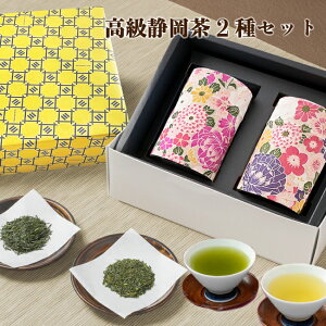 Ε  Mtg v[g oבΉ V2Zbg VƊ|쒃aߒʂƃZbgő܂ Mtg j A j ajMtg yY   ސEj