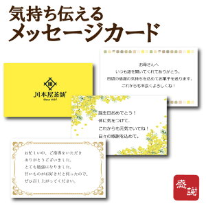 ypz bZ[WJ[h 蕨 j aj Mtg a j yY