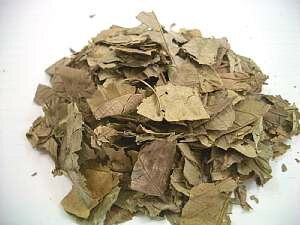 O@o 100g×6܃Zbg Ƒ̌NɖYEF̃OAo  oUN̗t גў