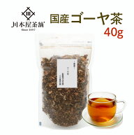 ゴーヤ茶 40g ごーや 国産 健康茶 国産 種入りゴーヤ茶 お茶 リノレン酸 モモルデシン 【ノンカフェイン…