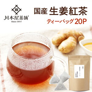 しょうが紅茶 ティーバッグ体を温める紅茶「生姜茶」ティーパックタイプ 砂糖不使用 こうちゃ【国産 健康茶】【ネコポス】