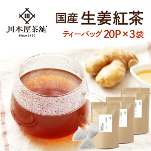 しょうが紅茶 ティーバッグ 体を温める「生姜茶」気軽に飲めるティーパックタイプ2g×20包の3袋セット【送料無料】 こうちゃ 【国産 健康茶】