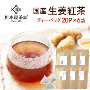 しょうが紅茶 お徳用 120P入り! 【あす楽対応開始♪】「生姜茶」ティーパックタイプ 6袋セット(2g×20包)【送料無料】【国産 健康茶】【通常宅配便】