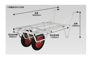 aubWL[ 2փnEXJ[ 3ςݗp SKX-03W