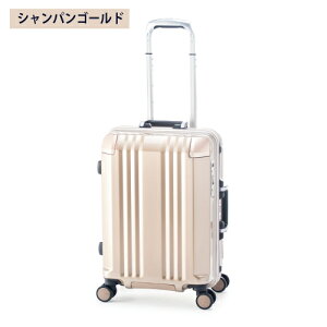 �y�|�C���g10�{�z�X�[�c�P�[�X 35L A.L.I �A�W�A���Q�[�W Ali �f�J����Edge FRAME �f�J�J���G�b�W �t���[�� ALI-070R-18 �t���[���^�C�v �������@���������݉� HINOMOTO�É��_�u���z�C�[���L���X�^�[ �V