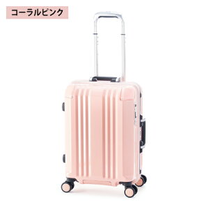 �y�|�C���g10�{�z�X�[�c�P�[�X 35L A.L.I �A�W�A���Q�[�W Ali �f�J����Edge FRAME �f�J�J���G�b�W �t���[�� ALI-070R-18 �t���[���^�C�v �������@���������݉� HINOMOTO�É��_�u���z�C�[���L���X�^�[ �V