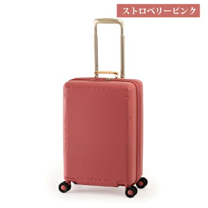 �y�|�C���g10�{�z�X�[�c�P�[�X 36L A.L.I �A�W�A���Q�[�W Ali VIOLA ���B�I�� VO-111-18W �t�@�X�i�[ �W�b�p�[ �g���@�\ �������@�������� HINOMOTO�É��_�u���z�C�[���L���X�^�[ TSA YKK �y�� ���ɋ��� 