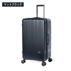 �y�|�C���g10�{�z�X�[�c�P�[�X 100L A.L.I �A�W�A���Q�[�W Ali MAXBOX �}�b�N�X�{�b�N�X mx-8011tl-28w 10���ȏ� �t�@�X�i�[ �W�b�p�[ �ϋv�� ��e�� �g���c���^�C�v ���@�\ ��ו��a�����ꖳ���ő�T
