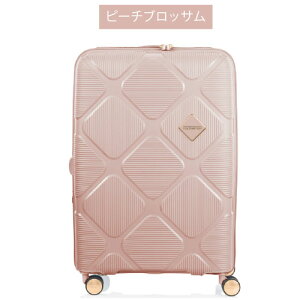 y|Cg10{zAJc[X^[bAmerican Tourister CX^S INSTAGON Xsi[69 79`87L GLXp_u@\ X[cP[X TSA_CbN Uy TXyVzC[ 