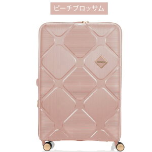 �ySALE 25%OFF�z�y�|�C���g10�{�z�A�����J���c�[���X�^�[�bAmerican Tourister �C���X�^�S�� INSTAGON �X�s�i�[81 123�`139L �G�L�X�p���_�u���@�\ �X�[�c�P�[�X TSA�_�C�������b�N �U�����y�� �T�X�y���V