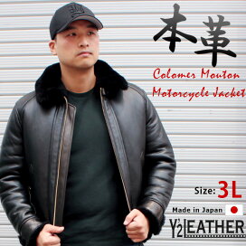 cm-05-main3l.jpg?fitin=272:272