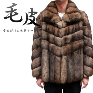 { Y t@[WPbg VAZ[u Y єWPbg 65cm 8498 VRє є amє є Z[u Z[uWPbg Russian Sable