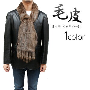 jp t@[ACe VAZ[u jbgt@[ Xg[ 0168 t@[Xg[ Y єXg[ fB[X є VAZ[u[