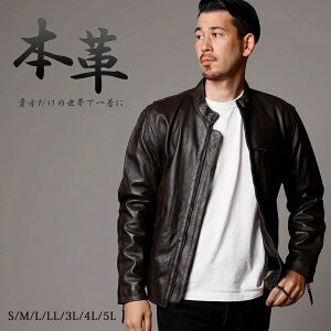 U[WPbg Y {v uE F VOC_[XWPbg vW v U[ mlrj0111brown