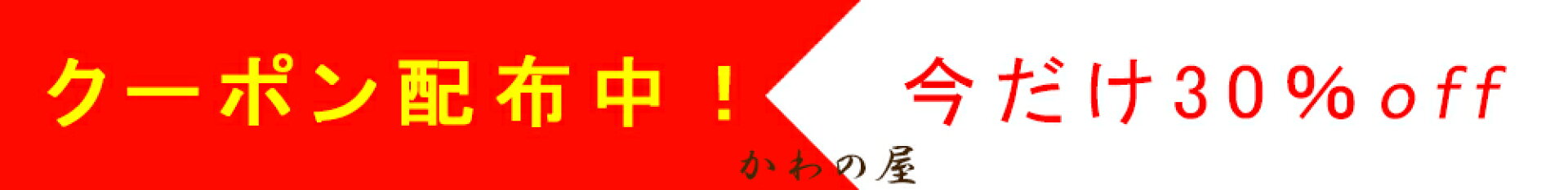 初春の銀座 de バーゲン