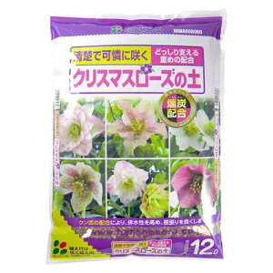 Ԃ@NX}X[Y̓y@12L@Y@ԋʓy@엿