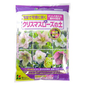 Ԃ@NX}X[Y̓y@5L@Y@ԋʓy@엿