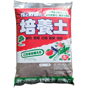 {O[T[rX@ԂƖ؂̔|{y 24L