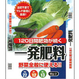 セントラルグリーン　一発肥料　野菜全般用　1kg　トマト　ナス　キュウリ　ピーマン　キャベツ　白菜