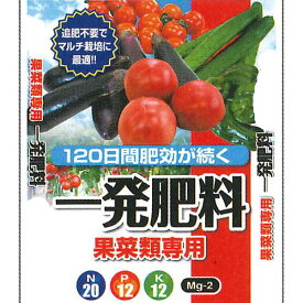 セントラルグリーン　一発肥料　果菜類専用　10kg　トマト　ナス　キュウリ　ピーマン