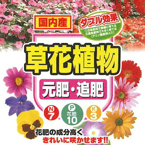 ZgO[@ԐA@Eǔ@700g@엿@ԁ@Ԓd@A