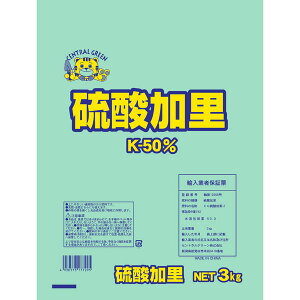 �Z���g�����O���[���@���_�����@3kg�@����