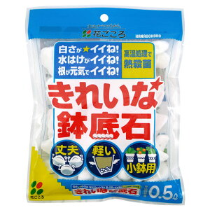 Ԃ@ꂢȔ΁@0D5L@ʋC@r