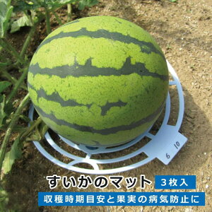 rj[ 39676 ̃}bg 320cm