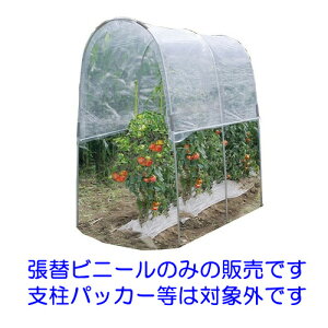 čH g}g̉ NT-18pփrj[@J悯 ƒ؉ 1^Cv