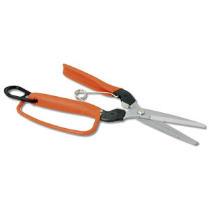  K[ht ͂ AG-10G n T{e n _ |  ʎ