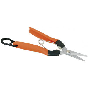 E ͂ AG-7 n T{e n _ |  ʎ