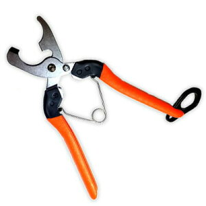 2i LY MEBUKI B-11 T{e   Ԃǂ