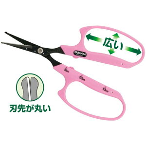 T{e Ԃǂ B-6B nh n  ڐt XeX nT~  E [ y