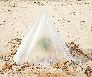 DAIM @1676@cLbvZbg@5Zbg@h~@h@悯@悯