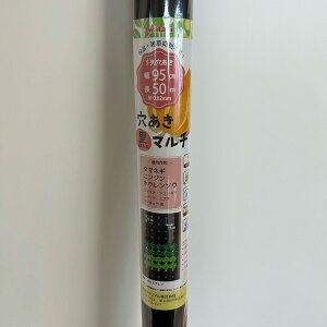 C^j@}`@95cm×50m@ʂ˂@ɂ񂶂@ق