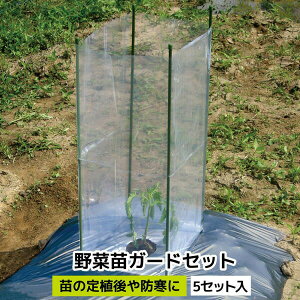 DAIM@33751@ؕcK[hZbg@5Zbg@w23cm×D23cm×H56cm