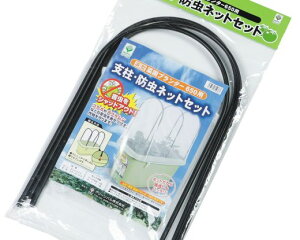 O[p@؉v^[650p@xEhlbgZbg