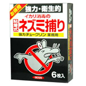 CJ@̓`[NƖp@6@lY~߂@SV[g