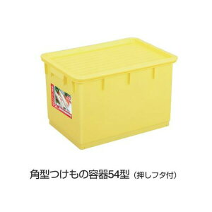 g{@p^̒M@54^@54L@t^tyFwsz