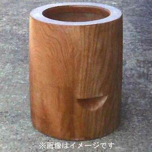 iKmYƁ@2476@PL@P@2i󒍐Yj42×48cm/30×21cm