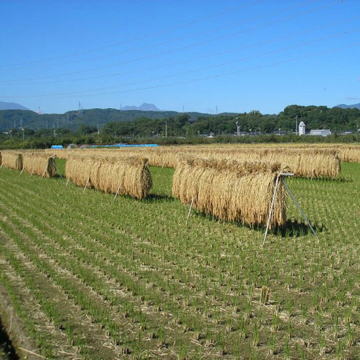 楽天市場】【5本組】稲かけ横棒 はざ掛け 4m【送料無料】【宅配可能 