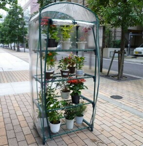 }n`Y ȈՉ O[L[p[4i #7700 nEX@@A