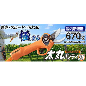 ۃnfB25(obe[E[dt)yNGKOqɔz