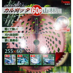 ACEbh Jb^ @p`bv\[ 255×60p Rщ 