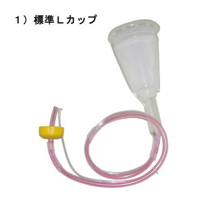 @WxXv[SKpJbv@Wx@Ԃǂ@Ȃ