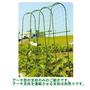y@ll̂݁zy10{gzDAIM A[`x@16mm Ԍ75×210cmyz