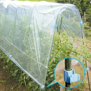 ؉񂽂pbJ[ 16mm 50 C{| x