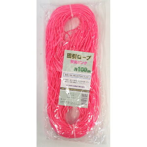 RW}@c[vij2.8mm×100m sN ˗  