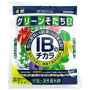 Ԃ@IB̃`JO[EX@1.4kg@엿@@ǔ@u