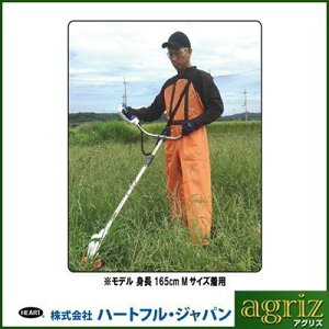 n[gtEWp@󂠂@ƗpGv@bVY{^Cv@